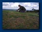 2008 Champion lines up